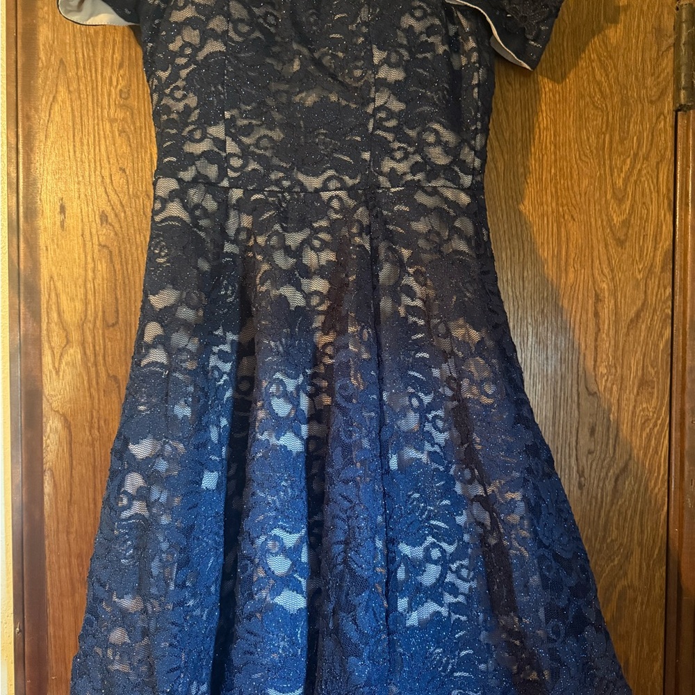 Elegant Navy Lace Dress